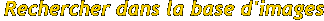 Recherche dans la base de donn&eacute;es