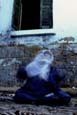 Femme assise, en transe solitaire, pendant un dhikr du mouled de Sidi Ibrahim al-Desouqi. Desouq. Woman sitting, in a solitary state of trance, during a dhikr at the Mulid of Sidi Ibrahim Al-Desouqi.  Desouq.  